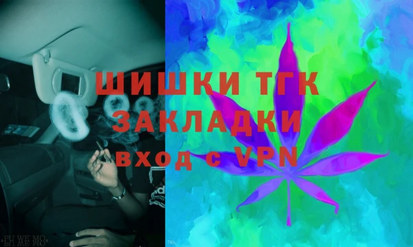 молекула духа Алексеевка