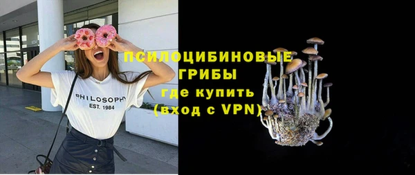 молекула духа Алексеевка