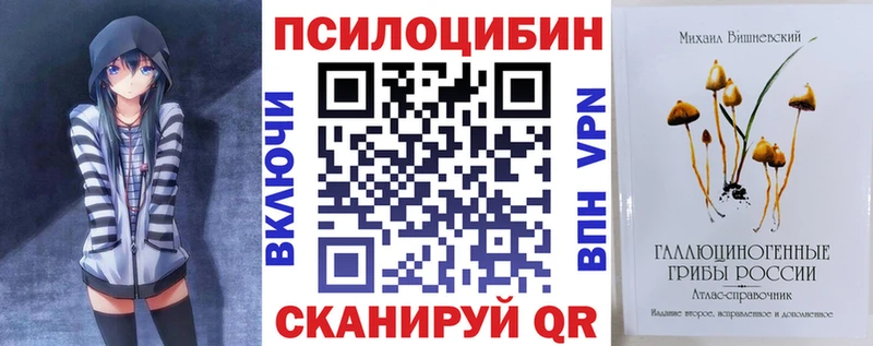 дарнет шоп  мега рабочий сайт  Галлюциногенные грибы прущие грибы  Баймак 